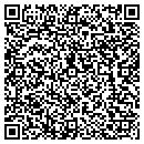 QR code with Cochrane Security Inc contacts