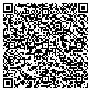 QR code with customlogoisland.com contacts