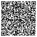 QR code with Level contacts