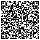 QR code with Pulliam Well Drilling contacts