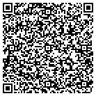 QR code with Pulliam Well Exploration contacts