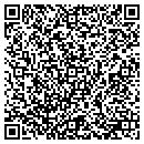QR code with Pyrotecnico.com contacts