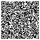 QR code with Public Storage contacts