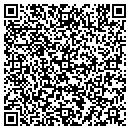 QR code with Problem Solving Tools contacts