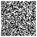 QR code with Carters-Jamese Glass contacts