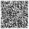 QR code with Pulaski Pulse contacts
