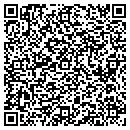 QR code with Precise Drilling LLC contacts