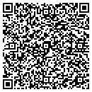 QR code with Collins & Sons Painting contacts