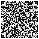 QR code with Blue Frog Lawn & Bugs contacts