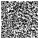 QR code with Precious Maids contacts