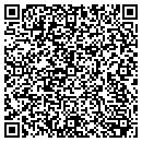 QR code with Precious Metals contacts