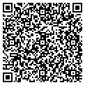 QR code with Synetex contacts
