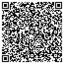 QR code with Pyramidd Alarm Co contacts