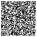 QR code with D Lugo contacts