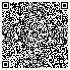 QR code with Bluebird Solutions, Inc contacts