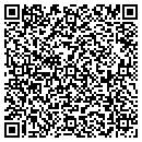 QR code with Cdt Tree Service LLC contacts