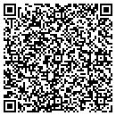 QR code with Clinton Tree Service contacts