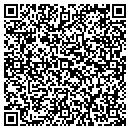 QR code with Carlink Motors Corp contacts