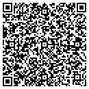 QR code with Caruso And Asthestics contacts