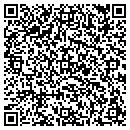QR code with Puffaumpf Toys contacts