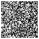 QR code with Collins' Auto Sales contacts