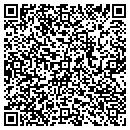 QR code with Cochise Tree & Shrub contacts