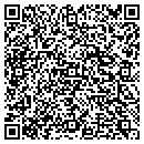 QR code with Precise Styling Inc contacts