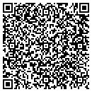 QR code with Pro Autoplex contacts