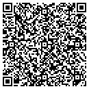 QR code with Professional Glass CO contacts