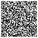 QR code with Brian's Tree Service contacts