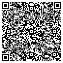 QR code with Costa's Tree Solutions contacts