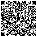 QR code with Costa's Tree Solutions contacts