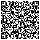 QR code with Pro Glassworks contacts