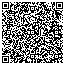 QR code with Cyclone Air Systems contacts