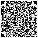 QR code with Fei-Zyfer Inc contacts
