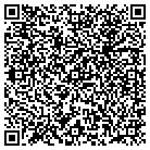 QR code with Blue Ridge Auto Outlet contacts