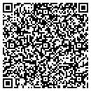 QR code with Blue Creek Carpentry contacts