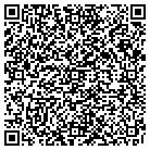 QR code with Professional Touch contacts