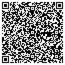 QR code with Professional Stump Removal contacts