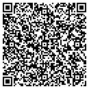 QR code with Premier Auto Group NJ contacts