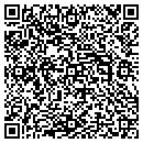 QR code with Brians Yard Service contacts