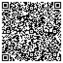 QR code with Precision Pothole Plus contacts