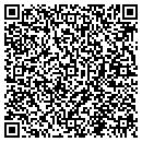 QR code with Pye William C contacts