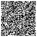 QR code with Blue Skies Window & Carpet contacts