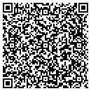 QR code with Premier Silica LLC contacts