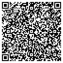 QR code with Briar Green Records contacts