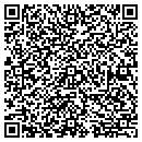 QR code with Chaney Window Cleaning contacts
