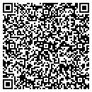 QR code with City Window Cleaners contacts