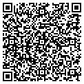 QR code with Accnet contacts