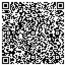 QR code with Premium Services Inc contacts